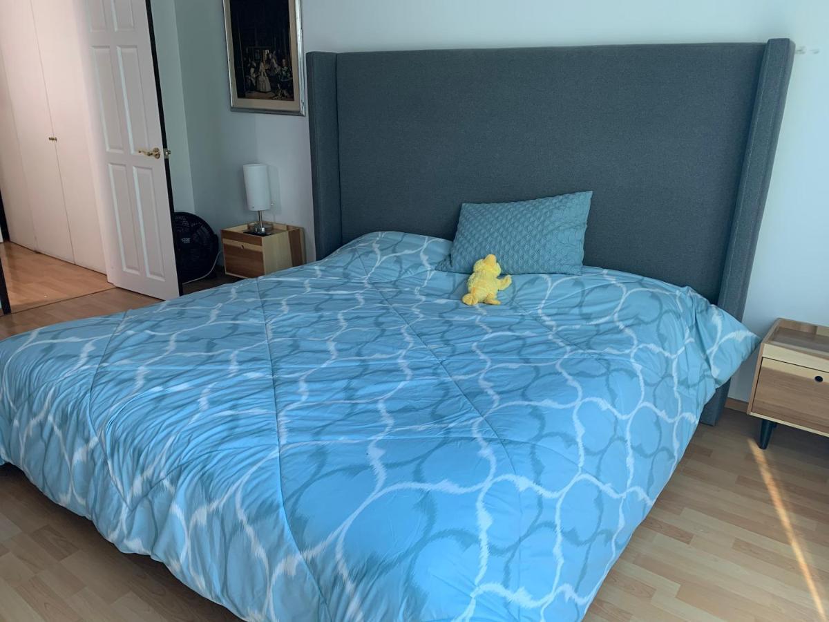מקסיקו סיטי Rooftop Penthouse Lamartine Polanco מראה חיצוני תמונה